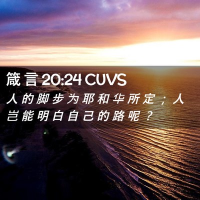 Picture 02 - 箴 言 20:24 CUVS - 人 的 脚 步 为 耶 和 华 所 定 ； 人 - Bible Verse Picture
