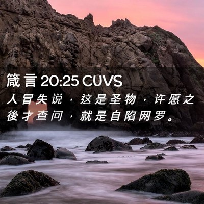 Picture 02 - 箴 言 20:25 CUVS - 人 冒 失 说 ， 这 是 圣 物 ， 许 愿 - Bible Verse Picture