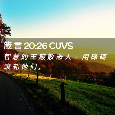 Picture 02 - 箴 言 20:26 CUVS - 智 慧 的 王 簸 散 恶 人 ， 用 碌 碡 - Bible Verse Picture