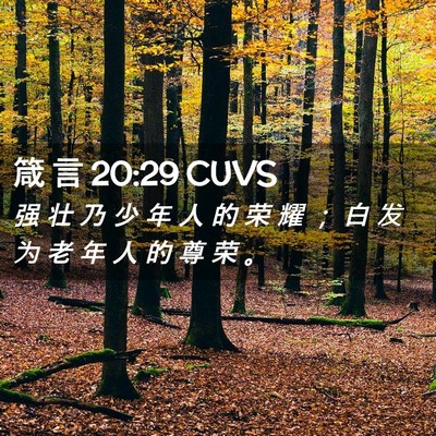 Picture 02 - 箴 言 20:29 CUVS - 强 壮 乃 少 年 人 的 荣 耀 ； 白 发 - Bible Verse Picture