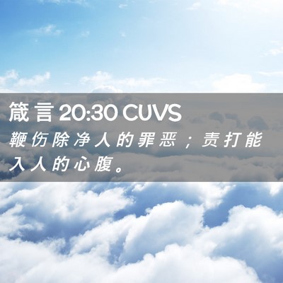 Picture 02 - 箴 言 20:30 CUVS - 鞭 伤 除 净 人 的 罪 恶 ； 责 打 能 - Bible Verse Picture