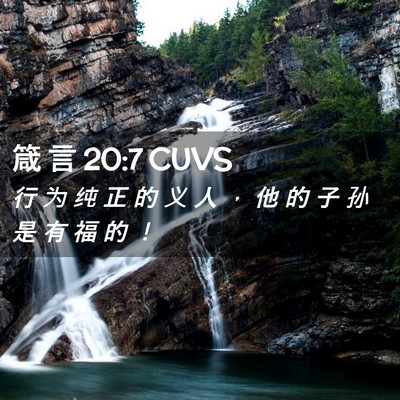 Picture 02 - 箴 言 20:7 CUVS - 行 为 纯 正 的 义 人 ， 他 的 子 孙 - Bible Verse Picture