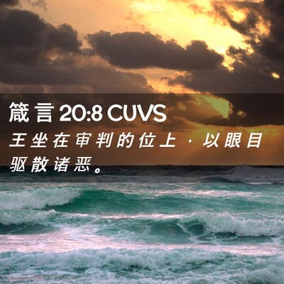 Picture 02 - 箴 言 20:8 CUVS - 王 坐 在 审 判 的 位 上 ， 以 眼 目 - Bible Verse Picture