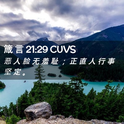 Picture 02 - 箴 言 21:29 CUVS - 恶 人 脸 无 羞 耻 ； 正 直 人 行 事 - Bible Verse Picture