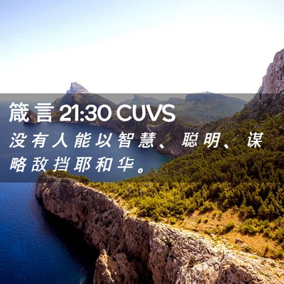 Picture 02 - 箴 言 21:30 CUVS - 没 有 人 能 以 智 慧 、 聪 明 、 谋 - Bible Verse Picture