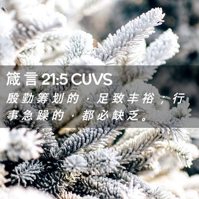 Picture 02 - 箴 言 21:5 CUVS - 殷 勤 筹 划 的 ， 足 致 丰 裕 ； 行 - Bible Verse Picture