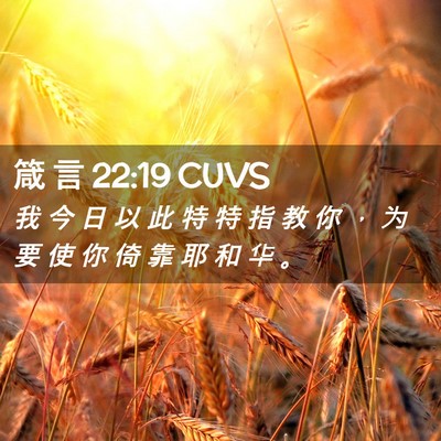 Picture 02 - 箴 言 22:19 CUVS - 我 今 日 以 此 特 特 指 教 你 ， 为 - Bible Verse Picture