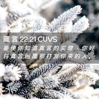 Picture 02 - 箴 言 22:21 CUVS - 要 使 你 知 道 真 言 的 实 理 ， 你 - Bible Verse Picture