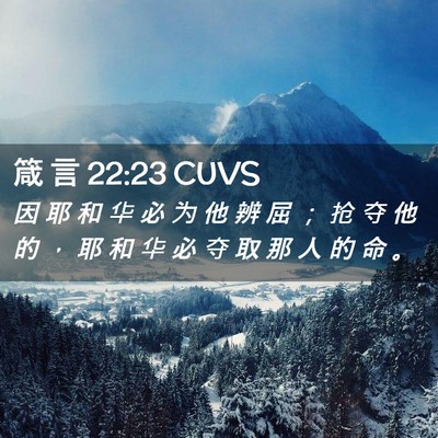 Picture 02 - 箴 言 22:23 CUVS - 因 耶 和 华 必 为 他 辨 屈 ； 抢 夺 - Bible Verse Picture