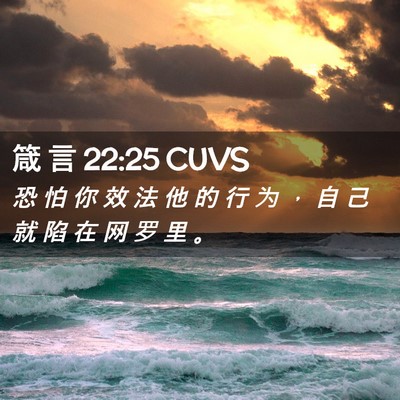 Picture 02 - 箴 言 22:25 CUVS - 恐 怕 你 效 法 他 的 行 为 ， 自 己 - Bible Verse Picture