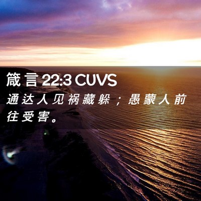Picture 02 - 箴 言 22:3 CUVS - 通 达 人 见 祸 藏 躲 ； 愚 蒙 人 前 - Bible Verse Picture