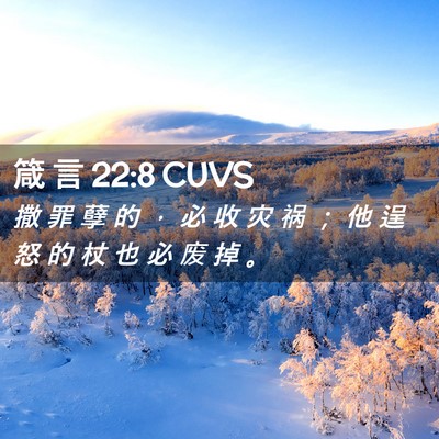 Picture 02 - 箴 言 22:8 CUVS - 撒 罪 孽 的 ， 必 收 灾 祸 ； 他 逞 - Bible Verse Picture