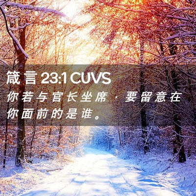 Picture 02 - 箴 言 23:1 CUVS - 你 若 与 官 长 坐 席 ， 要 留 意 在 - Bible Verse Picture
