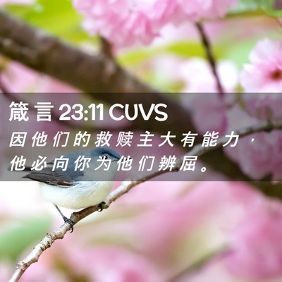 Picture 02 - 箴 言 23:11 CUVS - 因 他 们 的 救 赎 主 大 有 能 力 ， - Bible Verse Picture