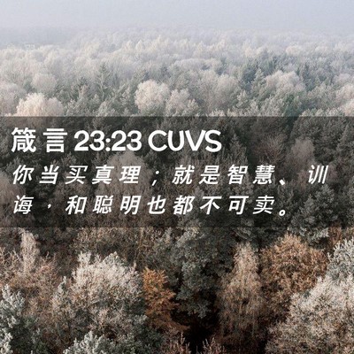 Picture 02 - 箴 言 23:23 CUVS - 你 当 买 真 理 ； 就 是 智 慧 、 训 - Bible Verse Picture