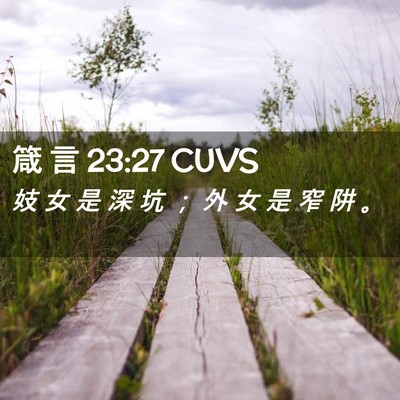 Picture 02 - 箴 言 23:27 CUVS - 妓 女 是 深 坑 ； 外 女 是 窄 阱 - Bible Verse Picture