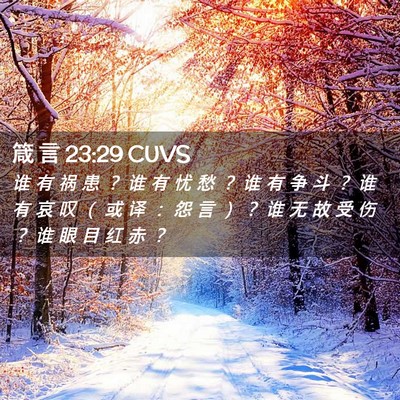 Picture 02 - 箴 言 23:29 CUVS - 谁 有 祸 患 ？ 谁 有 忧 愁 ？ 谁 有 - Bible Verse Picture