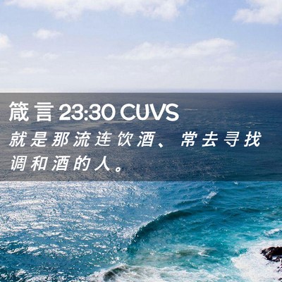 Picture 02 - 箴 言 23:30 CUVS - 就 是 那 流 连 饮 酒 、 常 去 寻 找 - Bible Verse Picture