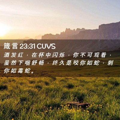 Picture 02 - 箴 言 23:31 CUVS - 酒 发 红 ， 在 杯 中 闪 烁 ， 你 不 - Bible Verse Picture