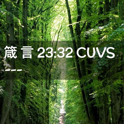 Picture 02 - 箴 言 23:32 CUVS -  - Bible Verse Picture
