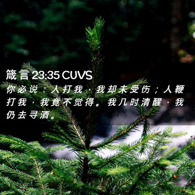 Picture 02 - 箴 言 23:35 CUVS - 你 必 说 ： 人 打 我 ， 我 却 未 受 - Bible Verse Picture