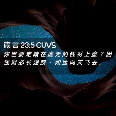 Picture 02 - 箴 言 23:5 CUVS - 你 岂 要 定 睛 在 虚 无 的 钱 财 上 - Bible Verse Picture