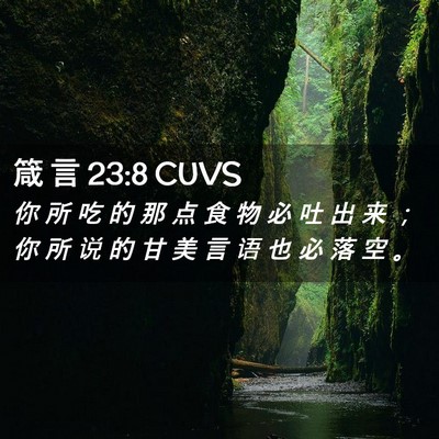 Picture 02 - 箴 言 23:8 CUVS - 你 所 吃 的 那 点 食 物 必 吐 出 来 - Bible Verse Picture