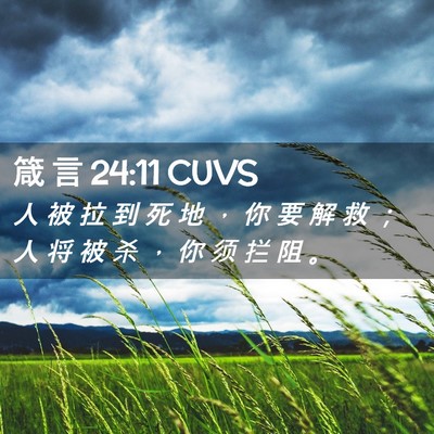 Picture 02 - 箴 言 24:11 CUVS - 人 被 拉 到 死 地 ， 你 要 解 救 ； - Bible Verse Picture