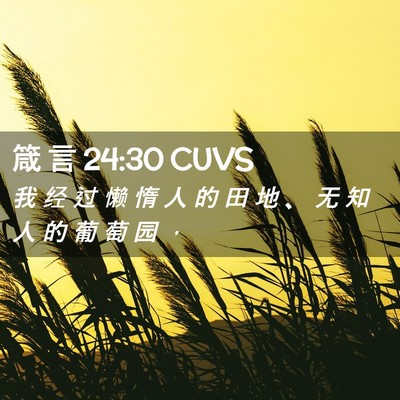 Picture 02 - 箴 言 24:30 CUVS - 我 经 过 懒 惰 人 的 田 地 、 无 知 - Bible Verse Picture