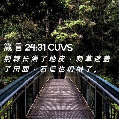 Picture 02 - 箴 言 24:31 CUVS - 荆 棘 长 满 了 地 皮 ， 刺 草 遮 盖 - Bible Verse Picture