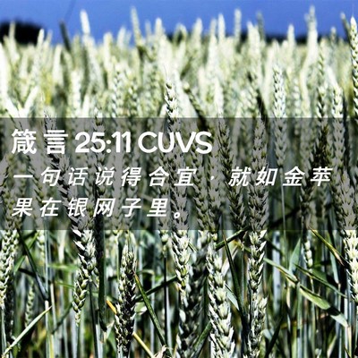 Picture 02 - 箴 言 25:11 CUVS - 一 句 话 说 得 合 宜 ， 就 如 金 苹 - Bible Verse Picture