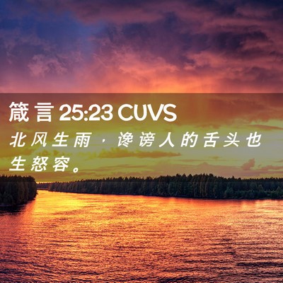 Picture 02 - 箴 言 25:23 CUVS - 北 风 生 雨 ， 谗 谤 人 的 舌 头 也 - Bible Verse Picture