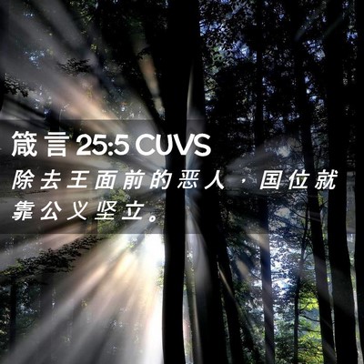 Picture 02 - 箴 言 25:5 CUVS - 除 去 王 面 前 的 恶 人 ， 国 位 就 - Bible Verse Picture
