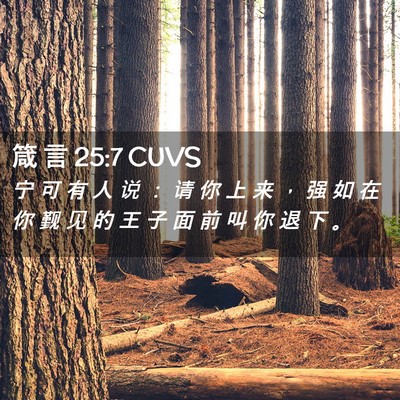 Picture 02 - 箴 言 25:7 CUVS - 宁 可 有 人 说 ： 请 你 上 来 ， 强 - Bible Verse Picture
