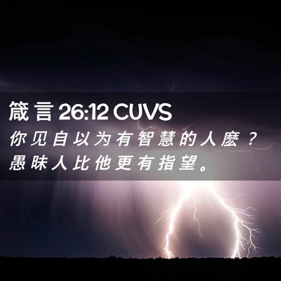 Picture 02 - 箴 言 26:12 CUVS - 你 见 自 以 为 有 智 慧 的 人 麽 ？ - Bible Verse Picture