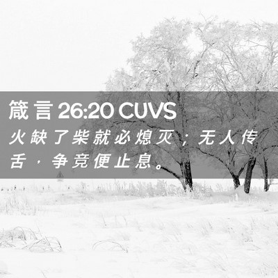 Picture 02 - 箴 言 26:20 CUVS - 火 缺 了 柴 就 必 熄 灭 ； 无 人 传 - Bible Verse Picture