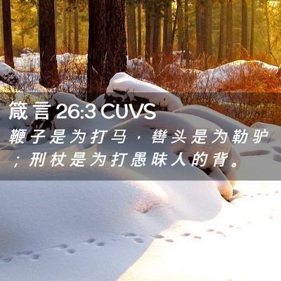 Picture 02 - 箴 言 26:3 CUVS - 鞭 子 是 为 打 马 ， 辔 头 是 为 勒 - Bible Verse Picture