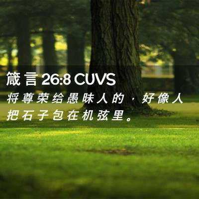 Picture 02 - 箴 言 26:8 CUVS - 将 尊 荣 给 愚 昧 人 的 ， 好 像 人 - Bible Verse Picture