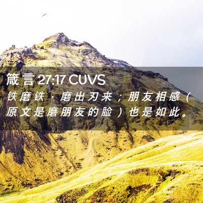 Picture 02 - 箴 言 27:17 CUVS - 铁 磨 铁 ， 磨 出 刃 来 ； 朋 友 相 - Bible Verse Picture