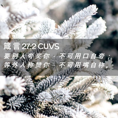 Picture 02 - 箴 言 27:2 CUVS - 要 别 人 夸 奖 你 ， 不 可 用 口 自 - Bible Verse Picture