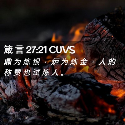 Picture 02 - 箴 言 27:21 CUVS - 鼎 为 炼 银 ， 炉 为 炼 金 ， 人 的 - Bible Verse Picture