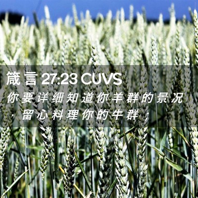 Picture 02 - 箴 言 27:23 CUVS - 你 要 详 细 知 道 你 羊 群 的 景 况 - Bible Verse Picture