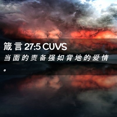 Picture 02 - 箴 言 27:5 CUVS - 当 面 的 责 备 强 如 背 地 的 爱 情 - Bible Verse Picture