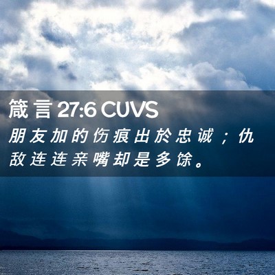 Picture 02 - 箴 言 27:6 CUVS - 朋 友 加 的 伤 痕 出 於 忠 诚 ； 仇 - Bible Verse Picture