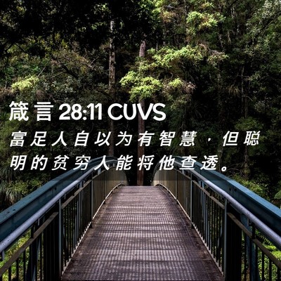 Picture 02 - 箴 言 28:11 CUVS - 富 足 人 自 以 为 有 智 慧 ， 但 聪 - Bible Verse Picture