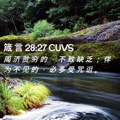 Picture 02 - 箴 言 28:27 CUVS - 周 济 贫 穷 的 ， 不 致 缺 乏 ； 佯 - Bible Verse Picture