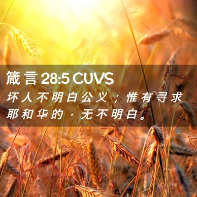 Picture 02 - 箴 言 28:5 CUVS - 坏 人 不 明 白 公 义 ； 惟 有 寻 求 - Bible Verse Picture