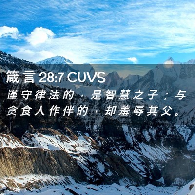 Picture 02 - 箴 言 28:7 CUVS - 谨 守 律 法 的 ， 是 智 慧 之 子 ； - Bible Verse Picture