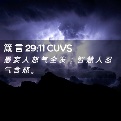 Picture 02 - 箴 言 29:11 CUVS - 愚 妄 人 怒 气 全 发 ； 智 慧 人 忍 - Bible Verse Picture