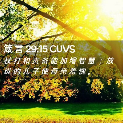 Picture 02 - 箴 言 29:15 CUVS - 杖 打 和 责 备 能 加 增 智 慧 ； 放 - Bible Verse Picture